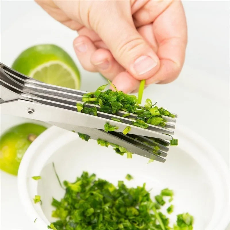 Multi-Blade Herb & Green Onion Scissors – Stainless Steel
