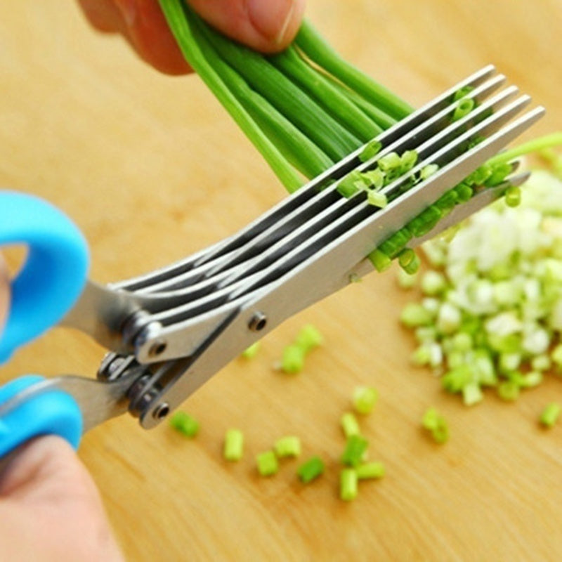 Multi-Blade Herb & Green Onion Scissors – Stainless Steel